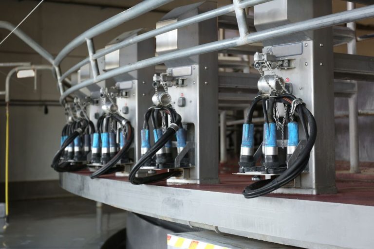 Melžimo robotai: ar investicija atsiperka vidutinio dydžio ūkiui?