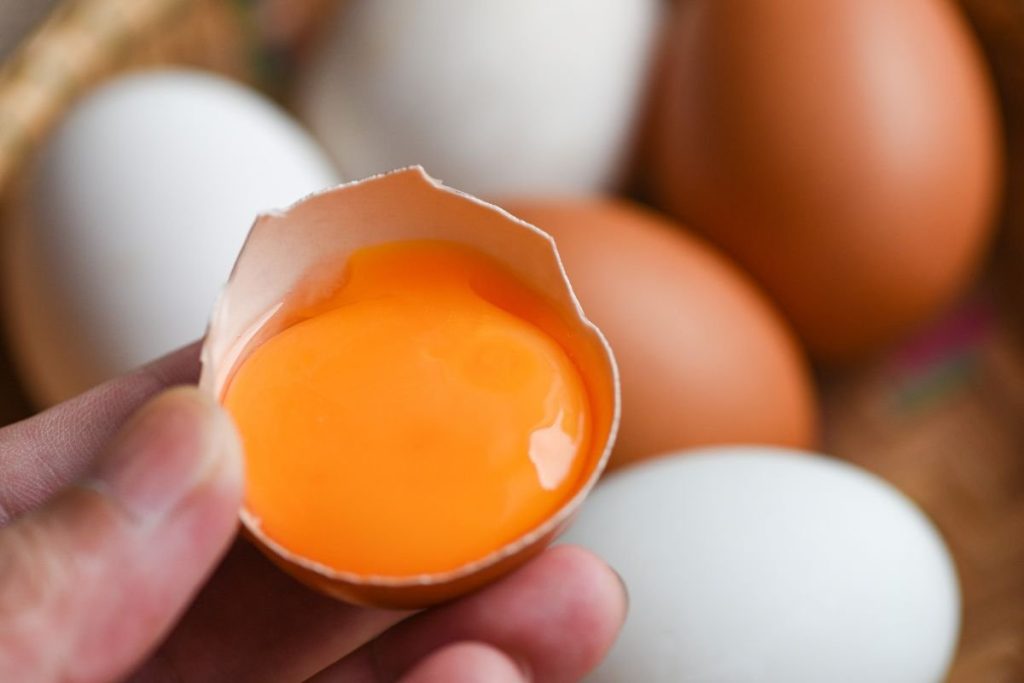Biocheminis procesas: kodėl trynys keičia spalvą?