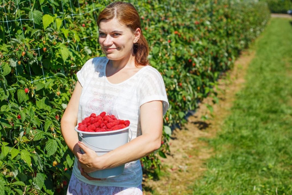 Sezoninės sutarties specifika pagal Darbo kodeksą