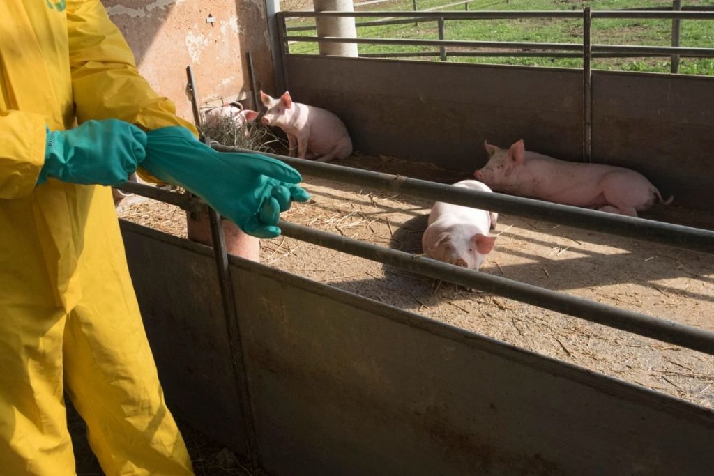 Pagrindinės biologinio saugumo priemonės