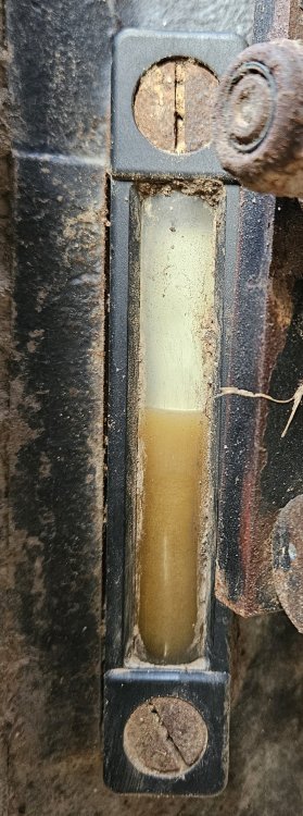 20241023_095453.jpg
