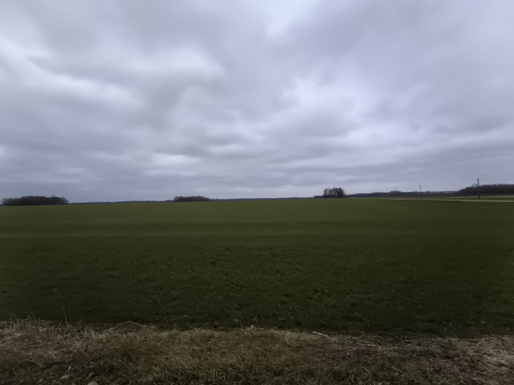 17410731639249024429617274697497.jpg