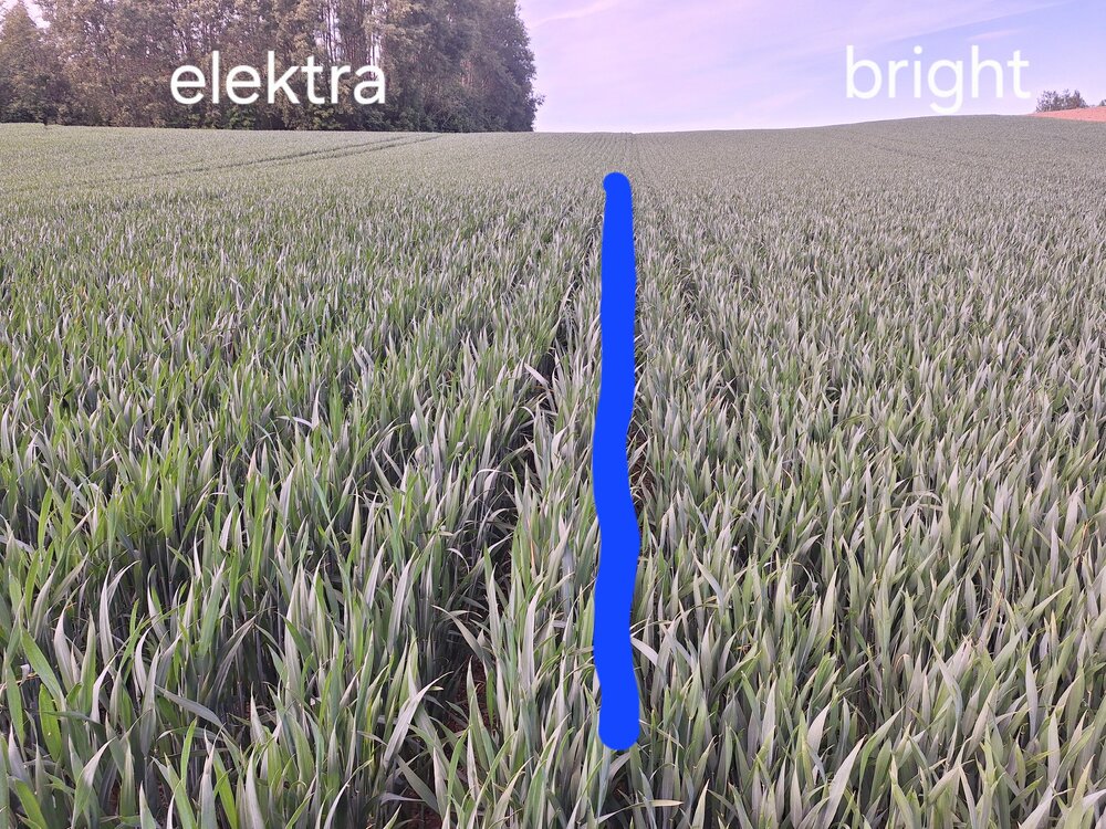20250530_165829.jpg