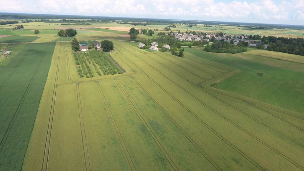 DJI_0243.thumb.JPG.c63caf1e220a14e947d528802105994d.JPG