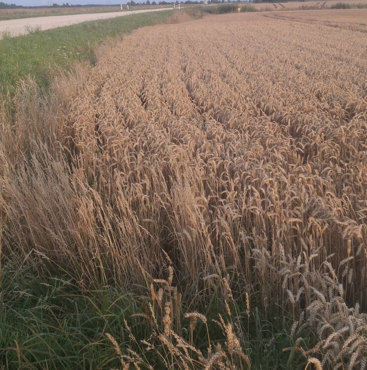 20250807_203224.jpg