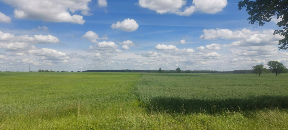 image.thumb.png.ca4c2e5f7445ae14717a98d8cd0b737c.png